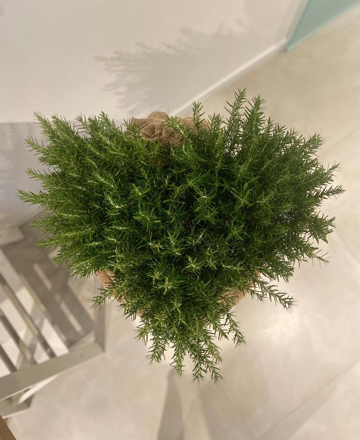 Viesterooms 外观 照片